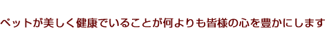 �y�b�g�����������邱�Ƃ��������F�l�̐S��L���ɂ��܂�