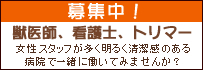 �b��t��W���I