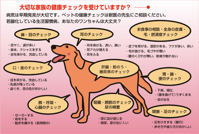 大切な家族のチェックを受けていますか？