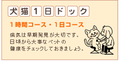 ���L1���h�b�O